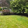 Free Consultation A.V GreenScape
