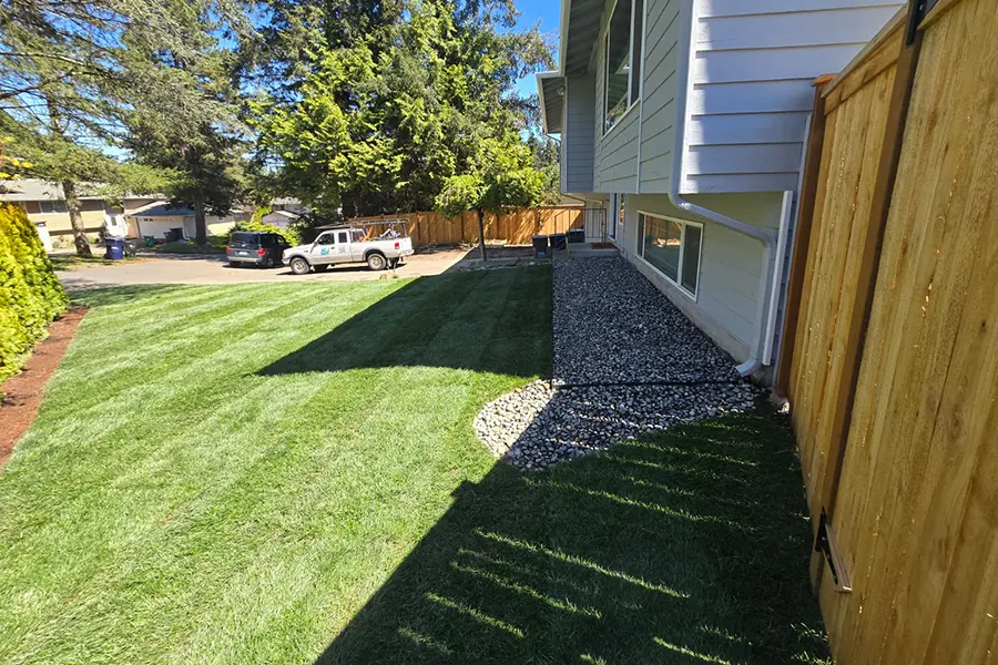 new-lawn-installation