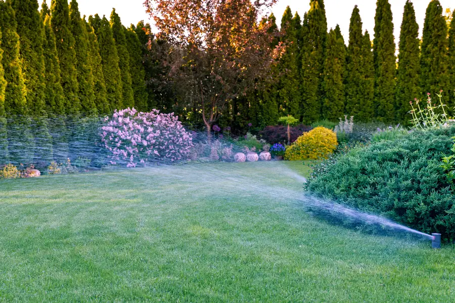sprinkler-system
